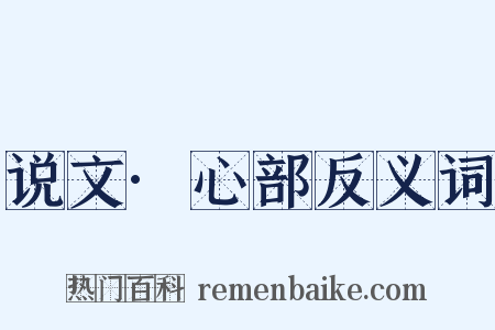 说文·心部反义词是什么意思的图片